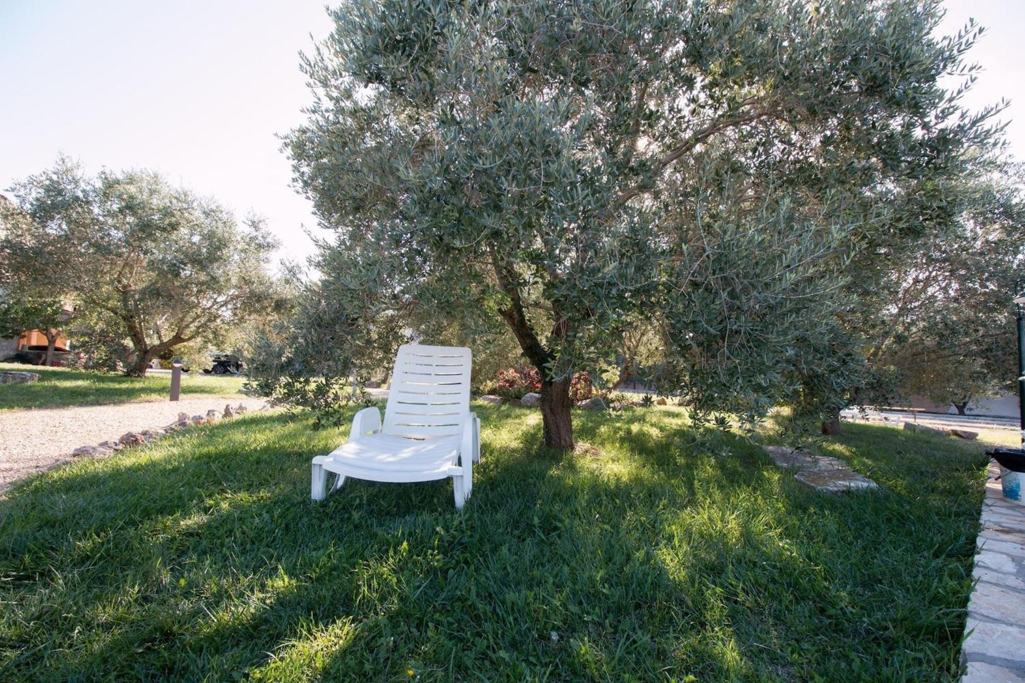 Marceta - Apartments & Rooms With Swimming Pool Fažana Buitenkant foto