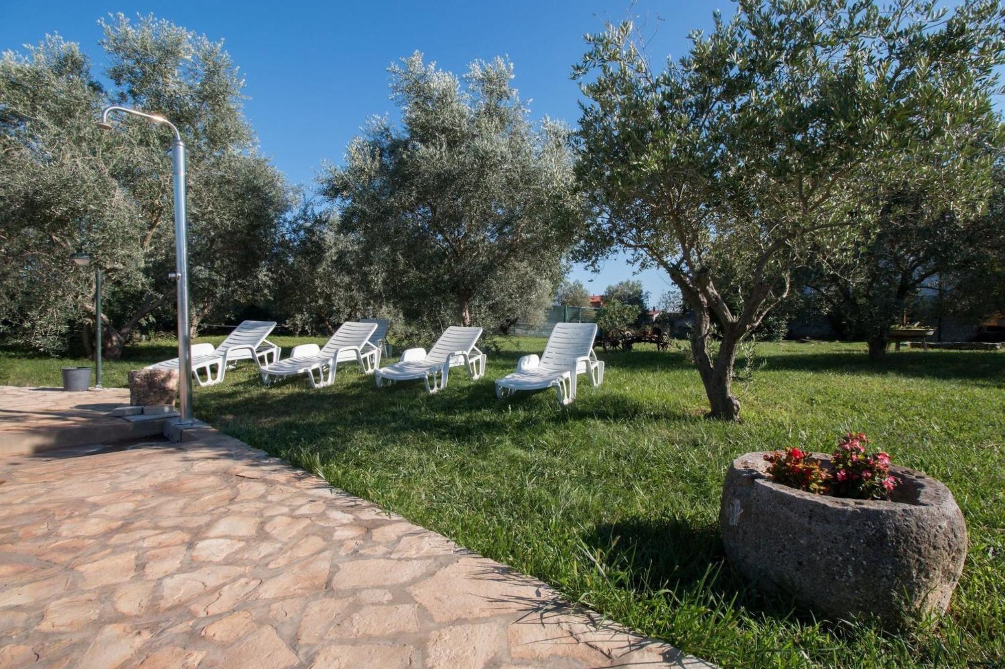 Marceta - Apartments & Rooms With Swimming Pool Fažana Buitenkant foto